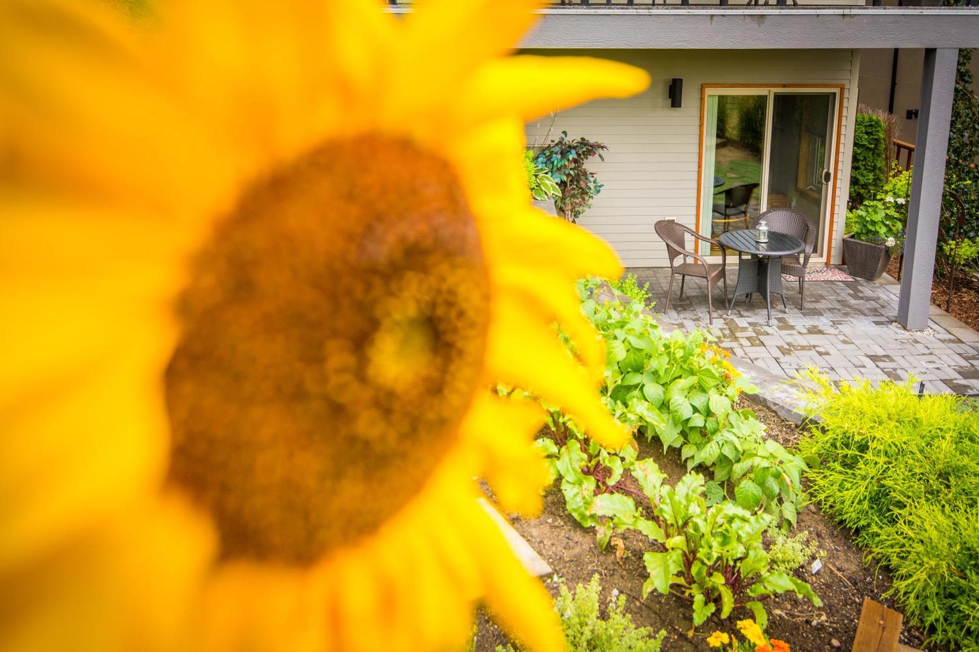 Cormier'S Studio Guest Suites Penticton Exterior photo